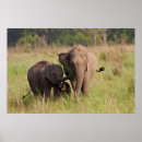Suche nach indisch poster Braun