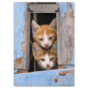 Suche nach kätzchen klemmbrett Katzen