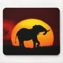 Suche nach elefanten sonnenuntergang Afrika