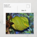Recherche de boa cartes postales Nature