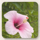 Suche nach das polynesien untersetzer Blume