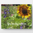 Suche nach garten fotoplatten Sonnenblumen