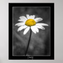 Recherche de photo sauvage posters Jaune