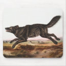 Recherche de dessin loup souris clavier Faune