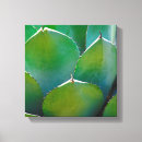 Suche nach detail leinwandbilder Botanisch