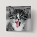 Suche nach katze mit blauen augen buttons Süße tiere