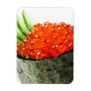 Recherche de poissons magnets Noir