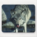 Suche nach wolf grau mousepads Natur