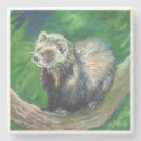 Recherche de furet maison deco Hermine