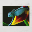 Suche nach chameleon postkarten Tiere