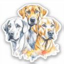 Recherche de laboratoire autocollants Animaux