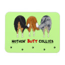 Recherche de colley magnets Chien