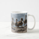 Recherche de caneton tasses Oiseaux