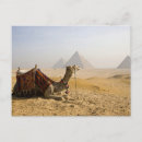 Recherche de dave cartes postales Traditionnel