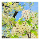 Suche nach blühender baum poster Illustration