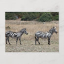 Recherche de raie cartes postales Nature