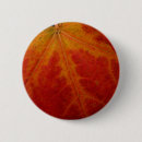 Recherche de feuille rouge badges Automne