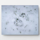 Suche nach stein fotoplatten Winterbilder