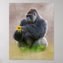 Recherche de singe gorille posters Nature