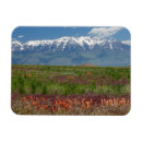 Recherche de mont magnets Coloré