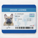 Recherche de permis Permis de conduire