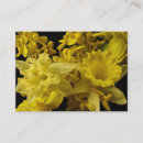 Recherche de narcisse cartes visite Fleur