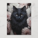 Recherche de illustration de chat noir cartes postales Fleurs