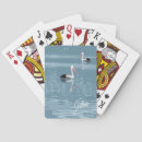 Recherche de pélicans jeux de cartes Animal