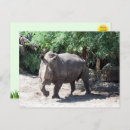 Suche nach rhinoceros postkarten Tierfotografie