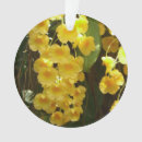 Suche nach orchideen blume ornamente Blumenreich