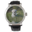 Recherche de de chiot montres Blanc
