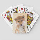Recherche de shiba jeux de cartes Dog