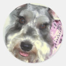 Recherche de miniature schnauzer autocollants Animal