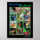 Suche nach brasil poster Natur