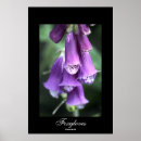 Suche nach dal poster Natur