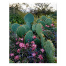 Suche nach pear poster Arizona