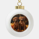 Suche nach rhodesian ridgeback ornamente Welpe