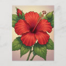 Recherche de hibiscus cartes postales Fleur d'hibiscus rouge