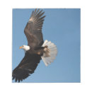 Suche nach flug notizblock Raubvogel