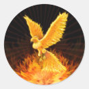 Suche nach phoenixsteigen Phoenix vogel