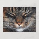 Suche nach kittel poster Lustig