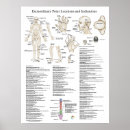 Recherche de acupuncture posters Médecine chinoise