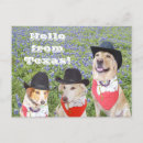 Suche nach texas bluebonnet poster Austin