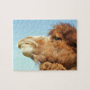 Suche nach kamel puzzle Tiere