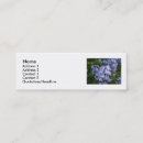 Suche nach flora mini visitenkarten Fotografie