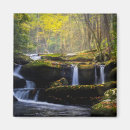 Recherche de moser magnets Moss