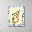 Suche nach seashells poster leinwandbilder Strand