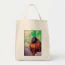 Recherche de orang outan sacs Sauvage