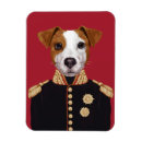 Recherche de jack russel magnets Chien