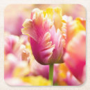 Suche nach flowerbed Botanik